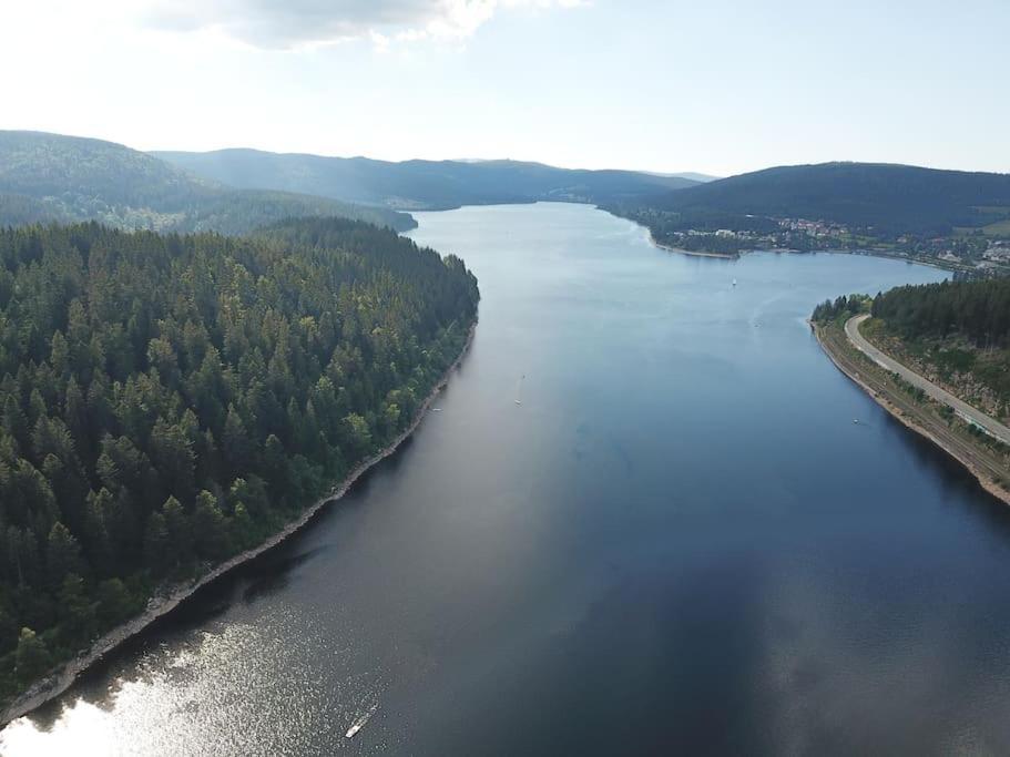 Black Forest Bergliebe Pool Terrasse Natur Ruhe Komfort ヘーヘンシュヴァント エクステリア 写真